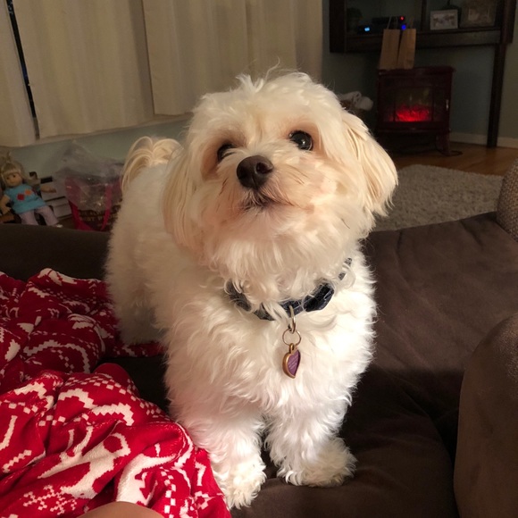 Meet your Posher, Mattingly - Picture 1 of 1